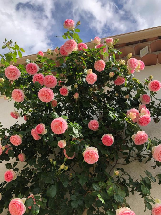 L'art De Fer Holiday home Saint-Paul-de-Vence